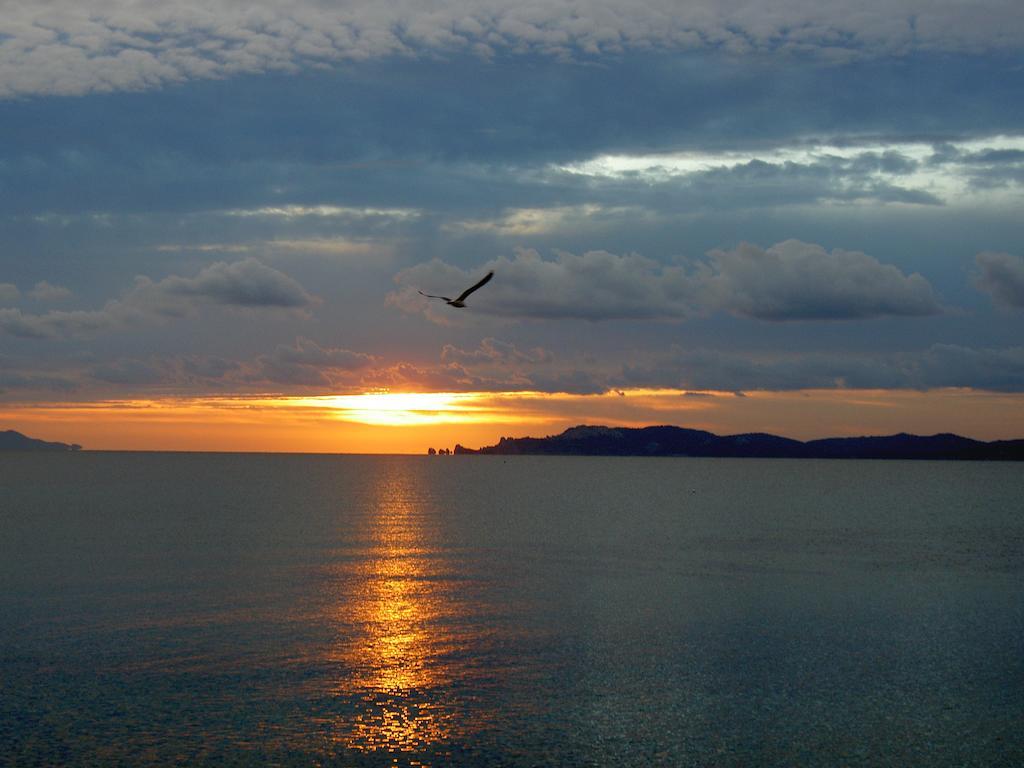 Hotel Lido Beach Hyères Kültér fotó
